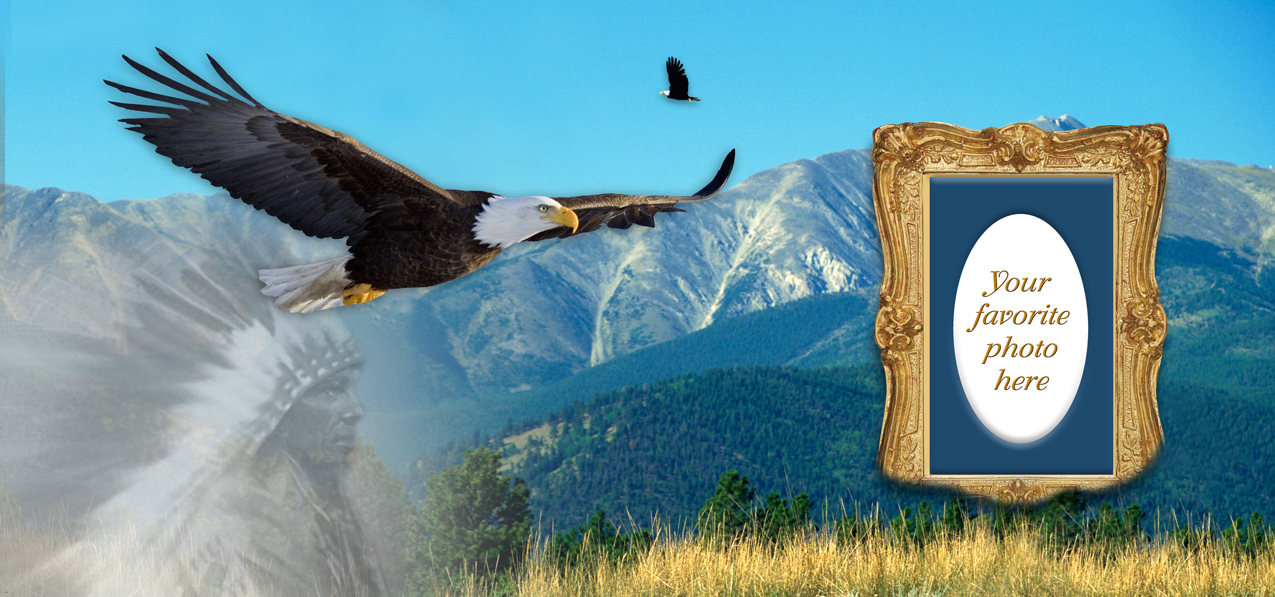 Soaring Eagle